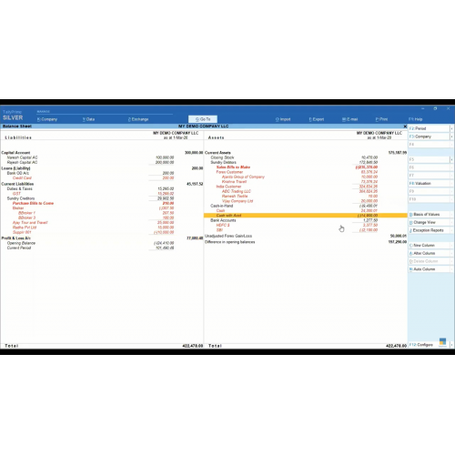 Details Balance Sheet